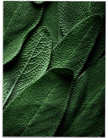 GREEN-LEAVES-POSTER