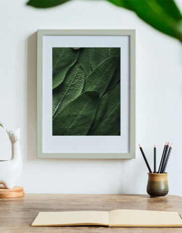 sage leaves poster, green leaves wall art